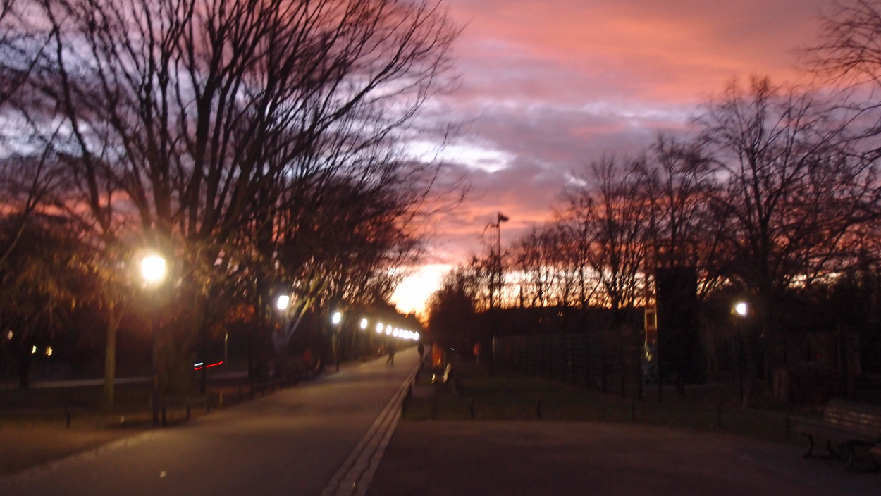 2019-12-11 Spatzen II (Fieldrecording Video)